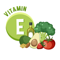 Rich in Vitamin E
