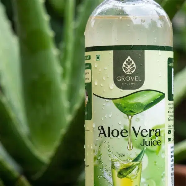 fresh-cut-aloe-leaf-with-clear-inner-gel