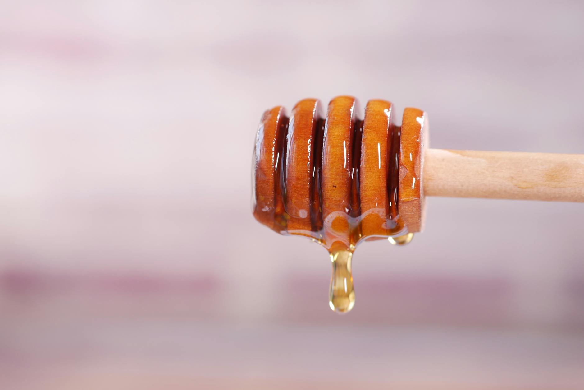 raw forest honey benefits benefits