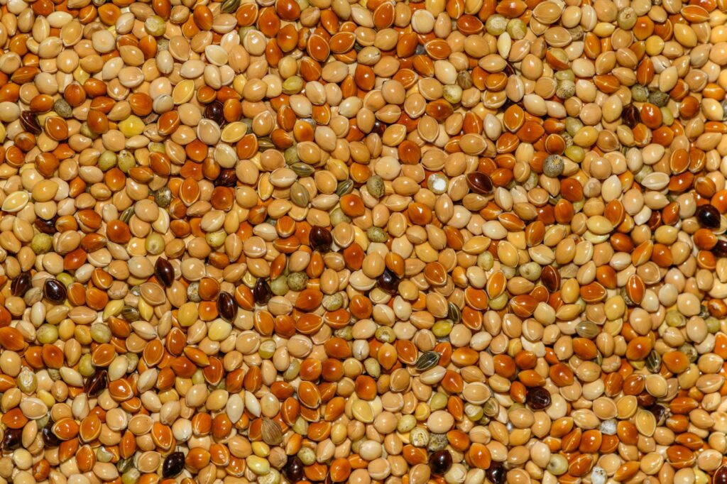 Diabetic Diet with Millets: A 7 Day Indian Meal Plan That Actually Works - Sisira Organics