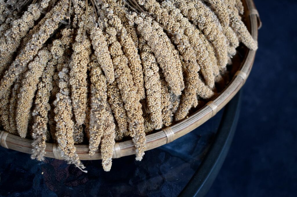 Millets During Pregnancy: Safe and Nutritious Indian Grain Guide for Expecting Mothers - Sisira Organics