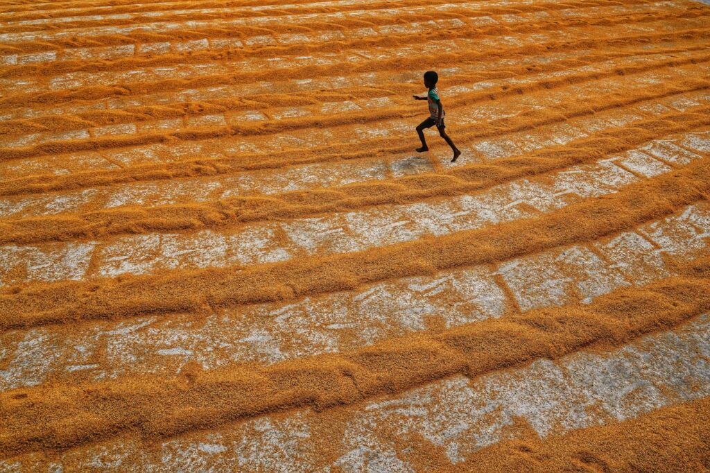 Best Millets for Children: Brain Development, Growth and Immunity Guide - Sisira Organics