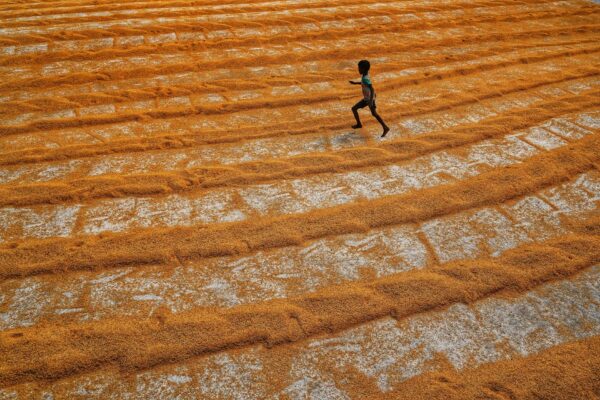 Best Millets for Children: Brain Development, Growth and Immunity Guide - Sisira Organics