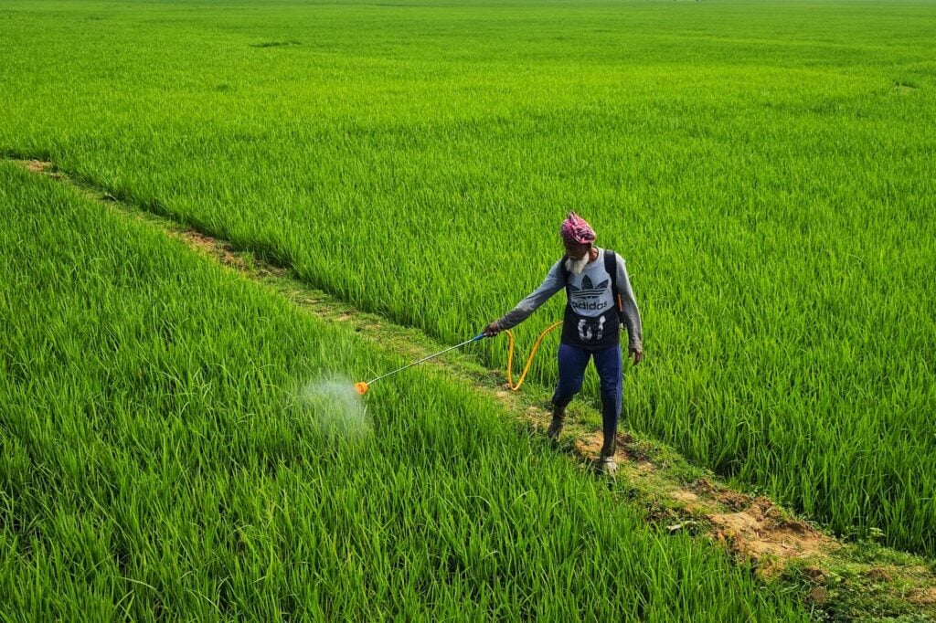 Pesticide Residues in Indian Food: What Government Studies Actually Found - Sisira Organics