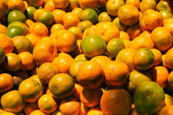 Vitamin D Deficiency in India: Why 80 Percent Are Deficient Despite Abundant Sunshine - Sisira Organics