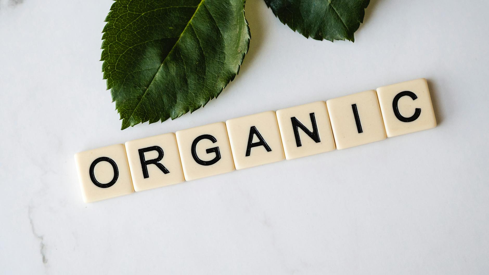 why organic food is expensive benefits