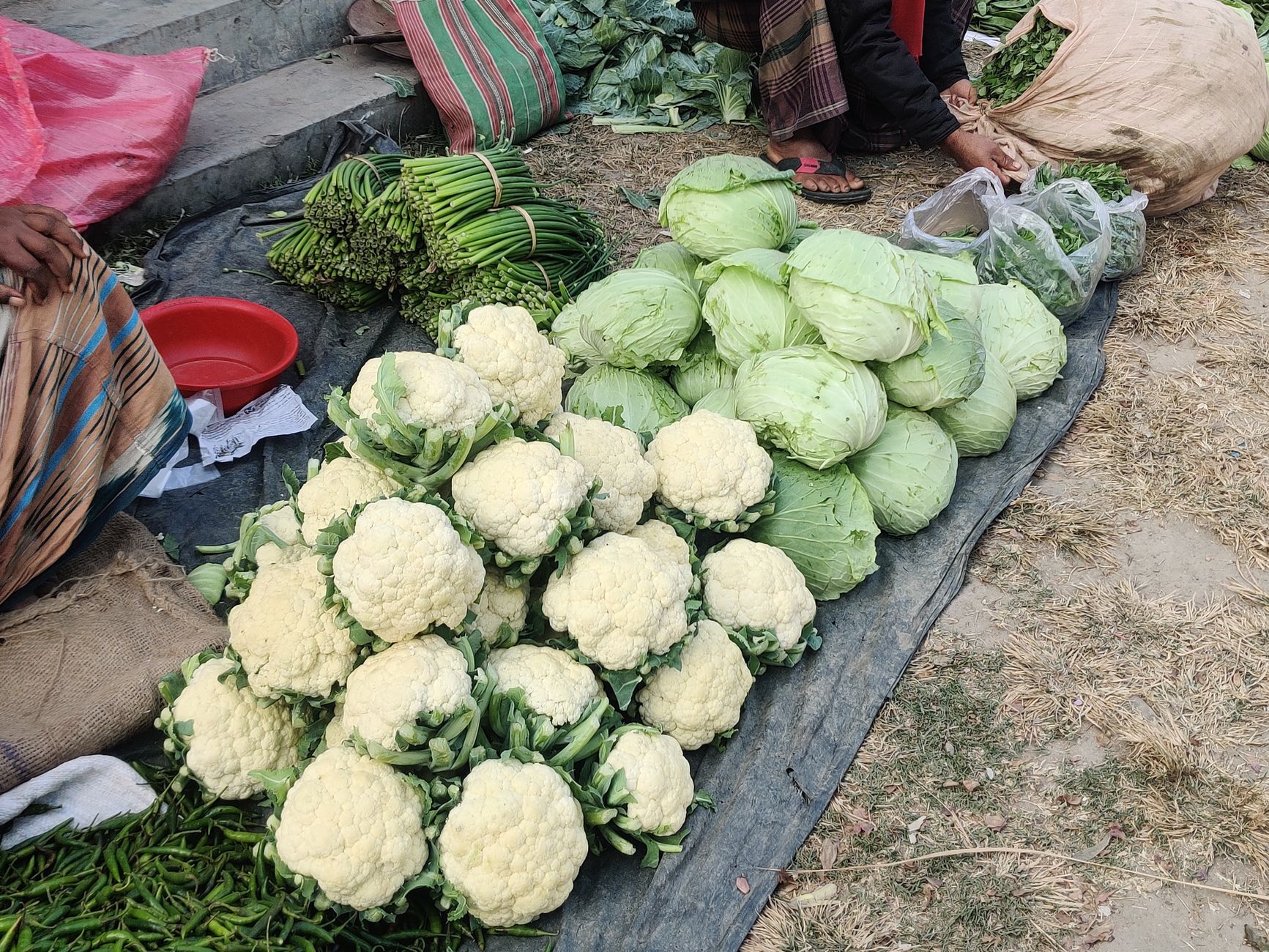 Buying Directly from Indian Farmers: How Your Food Choices Support Rural India 2 buy directly from Indian farmers benefits
