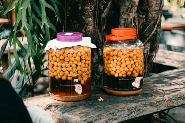 Fermented Indian Foods: The Probiotic Power of Idli, Dosa, Kanji and Pickles - Sisira Organics