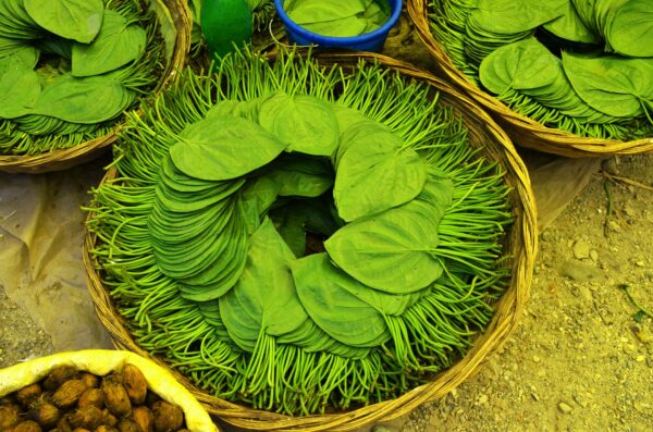 Leaky Gut Syndrome: Indian Dietary Solutions for an Overlooked Modern Problem - Sisira Organics