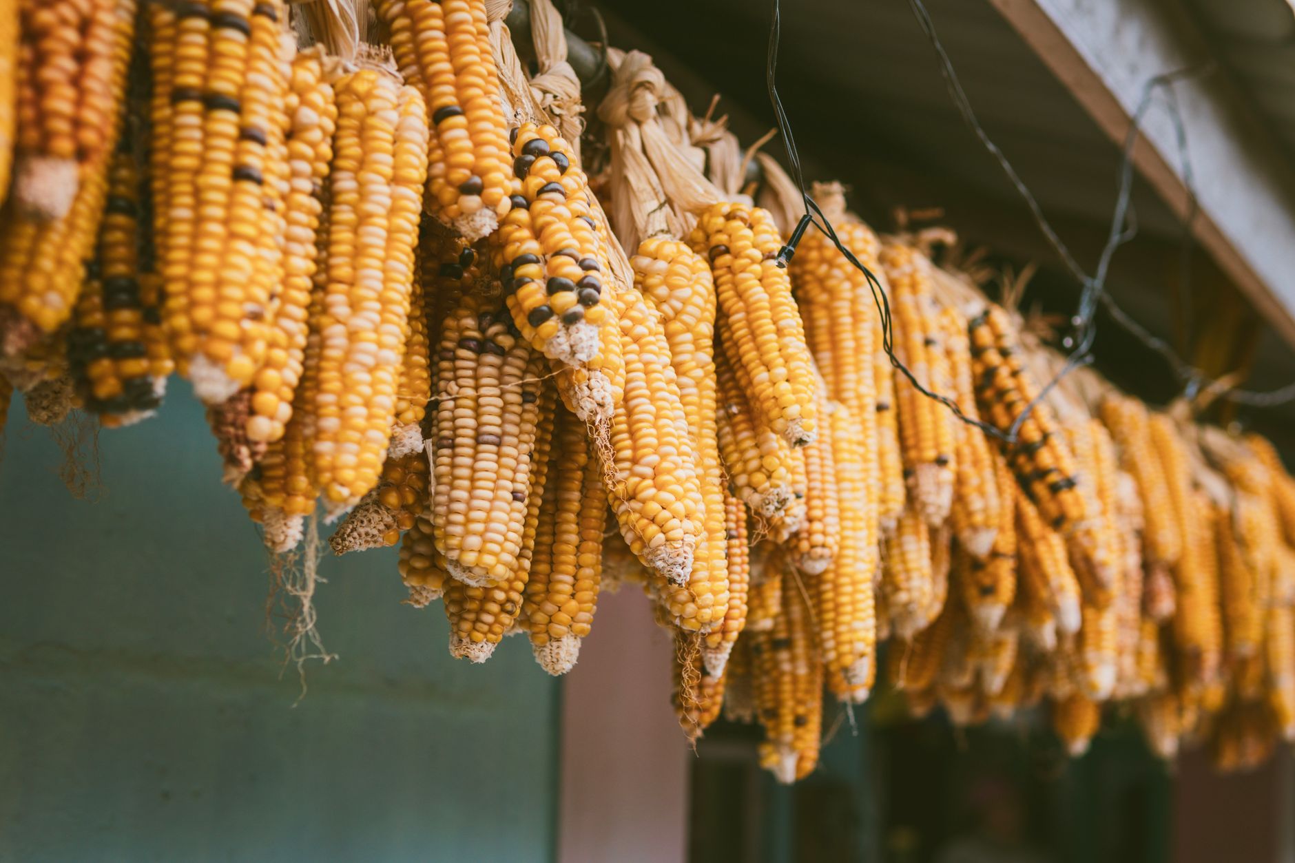 Ancient Indian Grains: Nutritional Wealth Our Grandmothers Always Knew 2 ancient Indian grains nutrition benefits