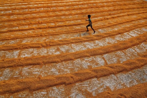 Best Millets for Children: Brain Development, Growth and Immunity Guide - Sisira Organics