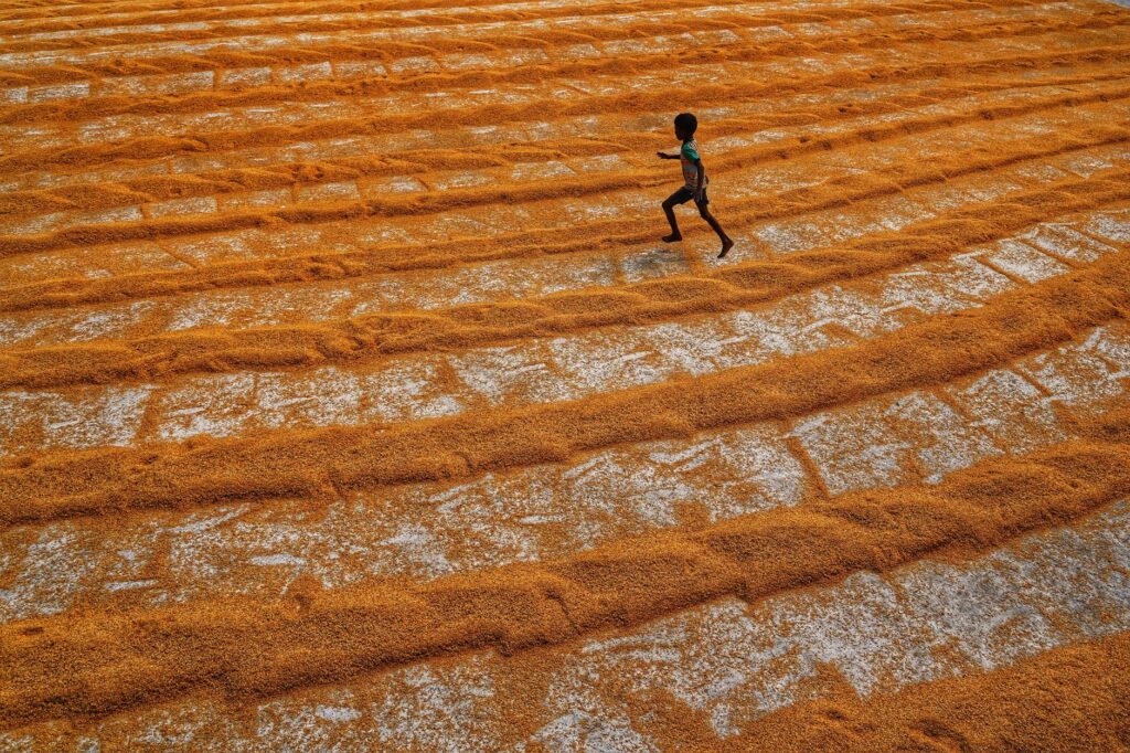 Best Millets for Children: Brain Development, Growth and Immunity Guide - Sisira Organics