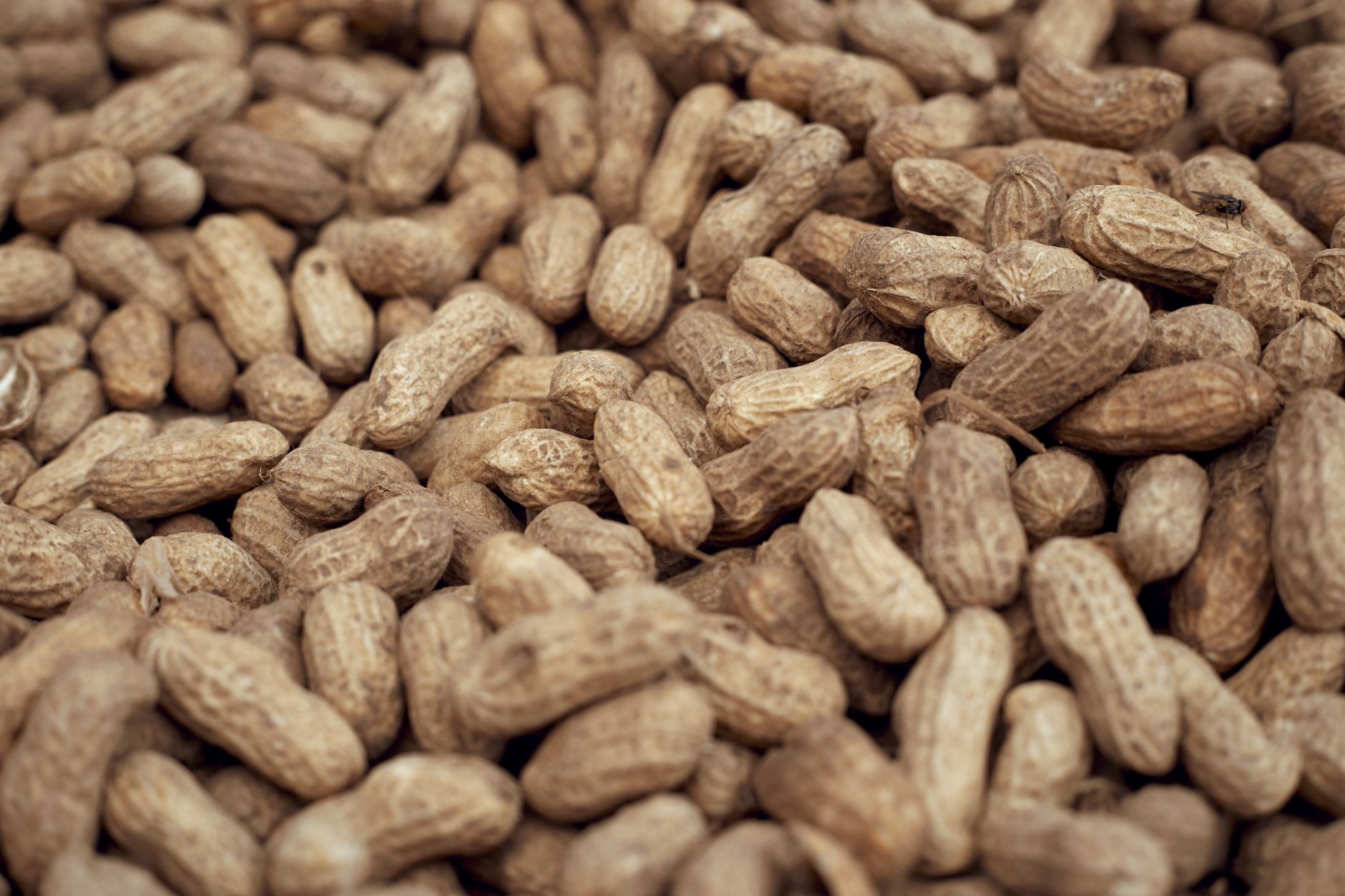 wood pressed groundnut oil benefits
