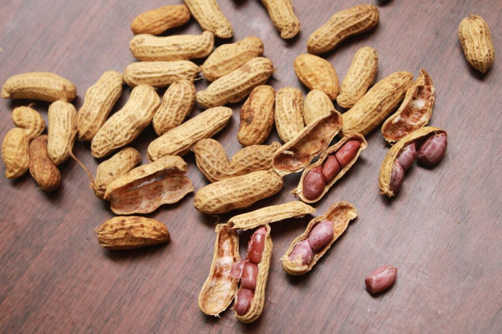 Wood Pressed Groundnut Oil: Benefits, Smoke Point and Why It Is the Best for India - Sisira Organics