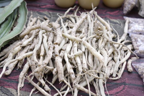 Ashwagandha: Ancient Indian Adaptogen Confirmed by 50 Modern Clinical Trials - Sisira Organics