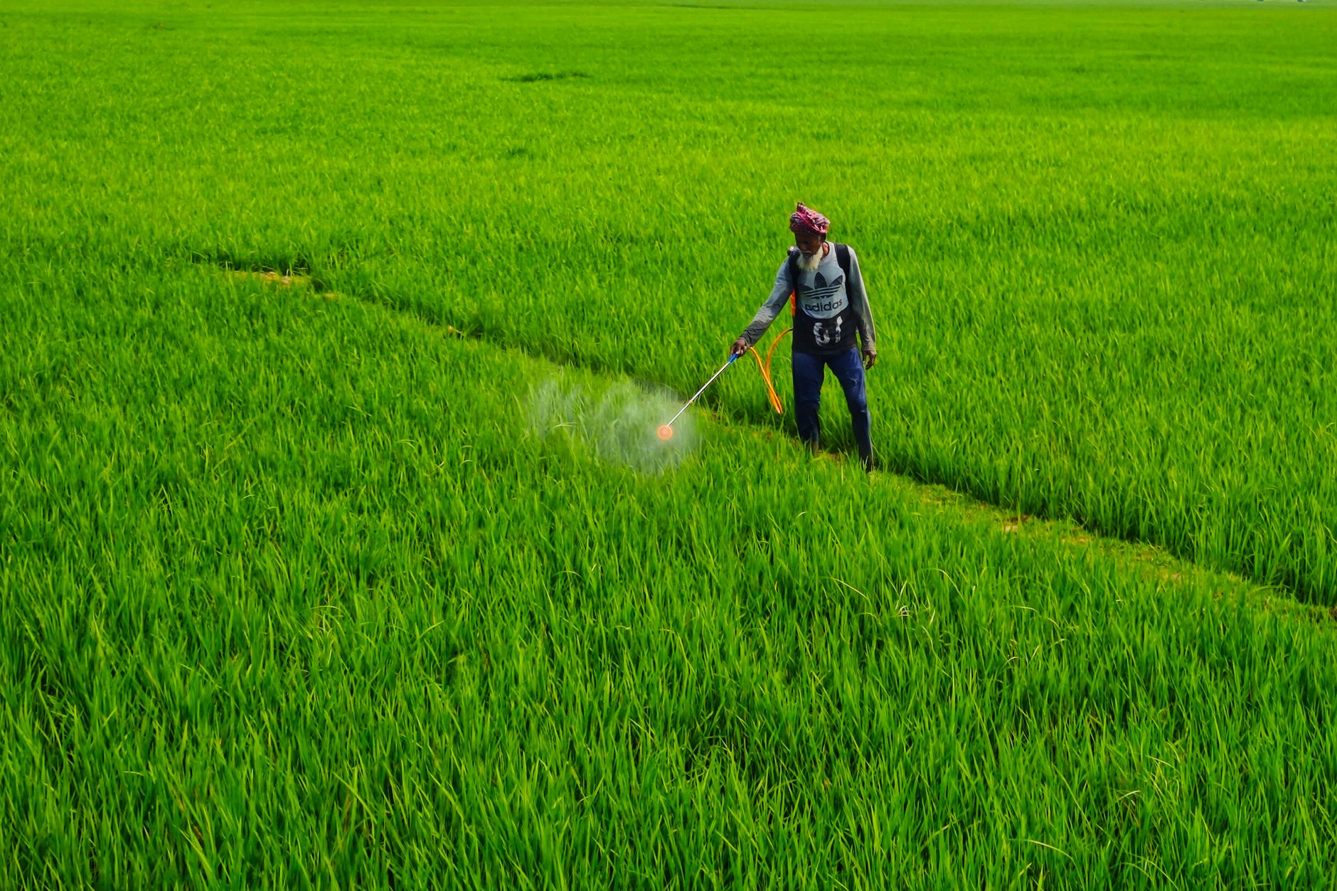 pesticide residues in food India benefits