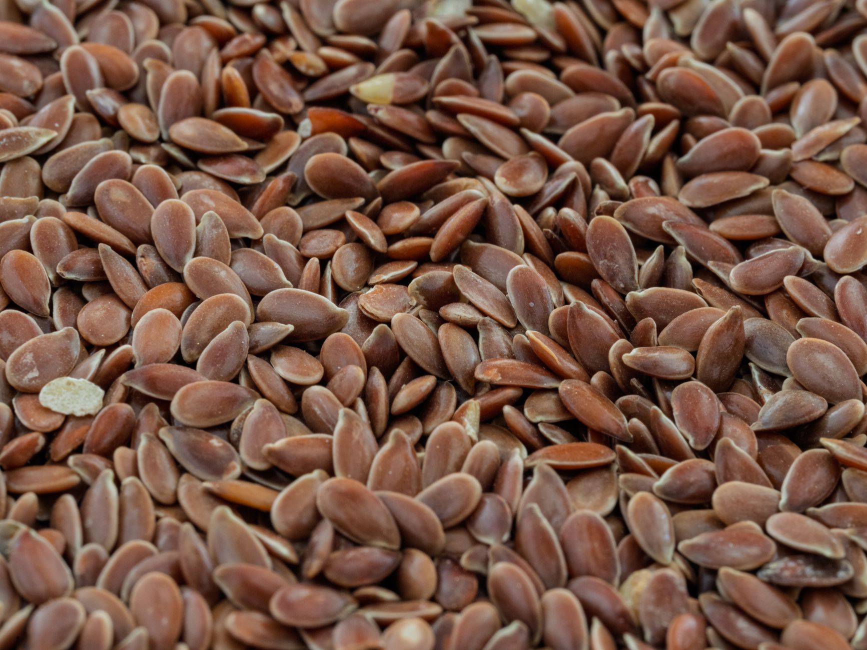 Sabja Seeds Sweet Basil: Benefits for Cooling, Weight Loss and Blood Sugar 2 sabja seeds benefits benefits
