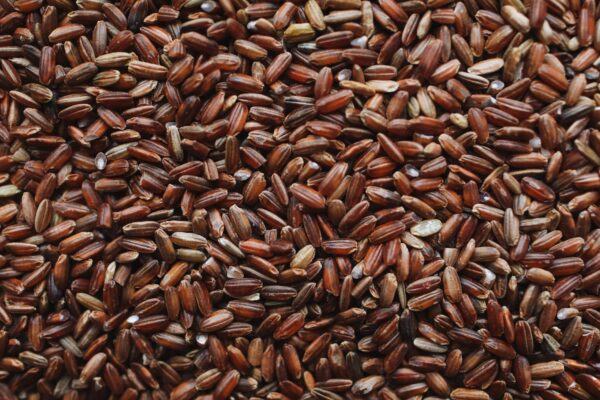 Top Traditional Rice Varieties for Health - Sisira Organics